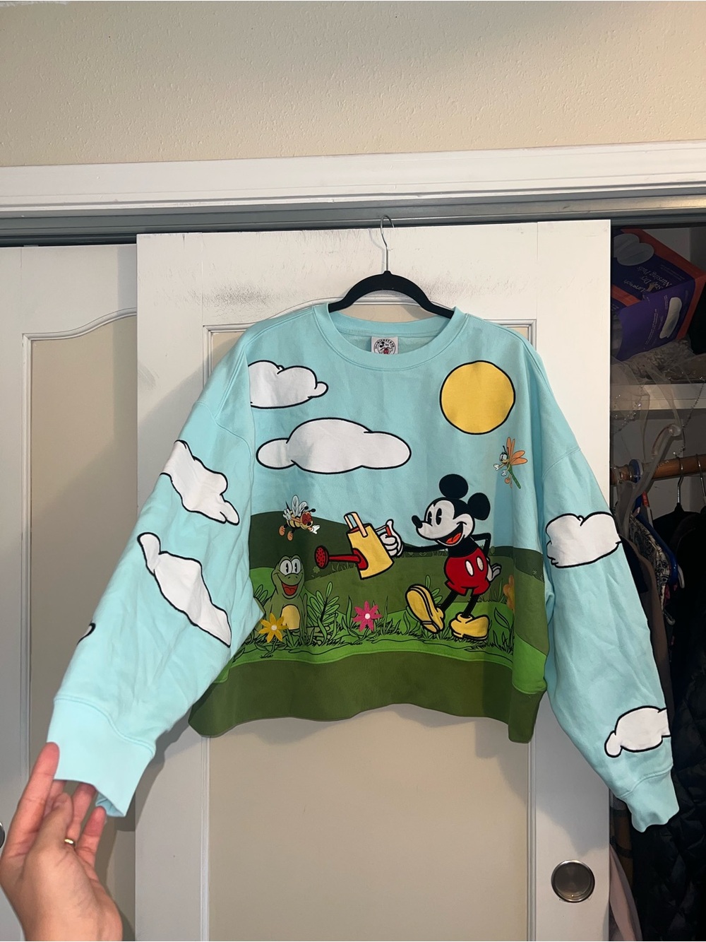 Disney Mickey Mouse & Co. Light Blue Embroidered Cropped Scenic Sweatshirt